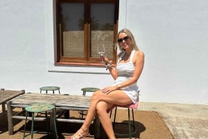Visite œnologique à Ibiza : dégustation de vins + tapas dans un domaine viticole