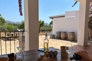 IBIZA: Private Wine Tasting & TAPAS + Olive Oil & Pick-Up