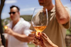 IBIZA: Private Wine Tasting & TAPAS + Olive Oil & Pick-Up