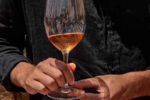 IBIZA: Private Wine Tasting & TAPAS + Olive Oil & Pick-Up