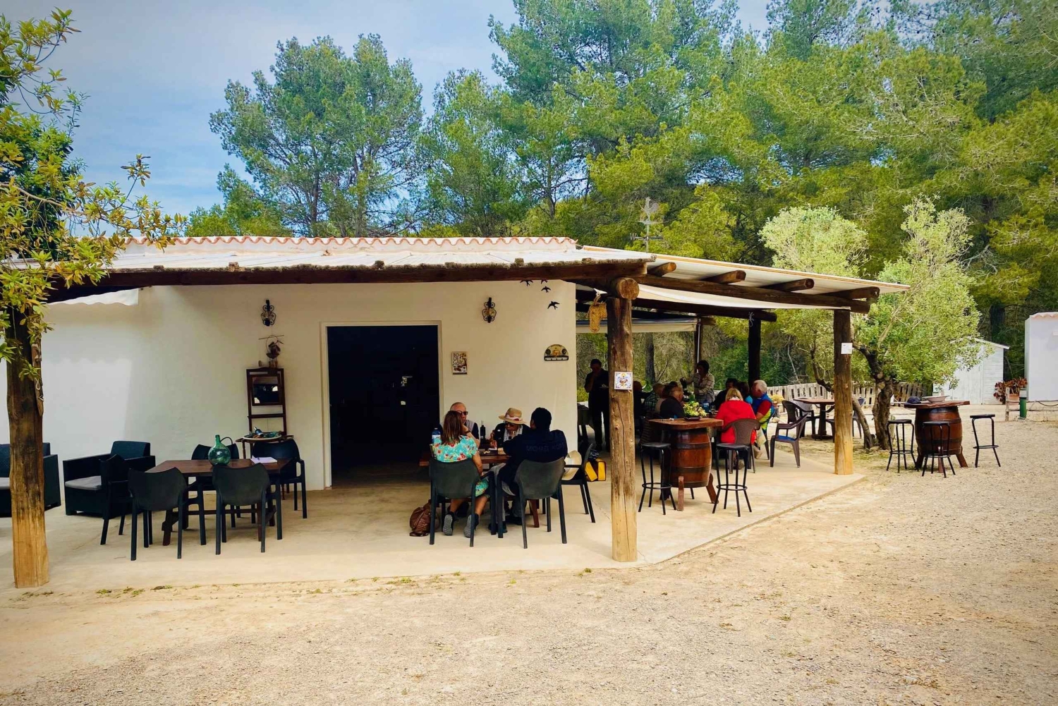 Ibiza: Winery Tour + Tasting Experience with Pickup/Dropoff