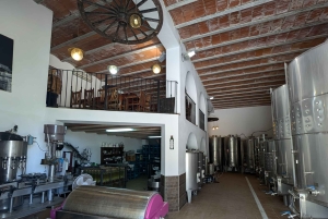 Ibiza: Winery Tour + Tasting Experience with Pickup/Dropoff