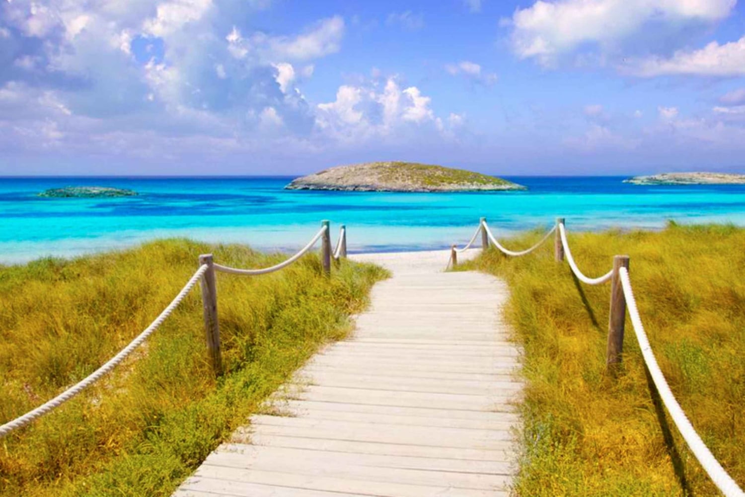 Playa d'en Bossa/Figueretes: retourveerboot naar Formentera