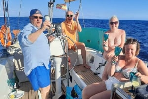 Viagem de 1 dia em veleiro privado de IBIZA a FORMENTERA