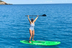 Viagem de 1 dia em veleiro privado de IBIZA a FORMENTERA