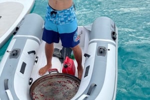 Viagem de 1 dia em veleiro privado de IBIZA a FORMENTERA