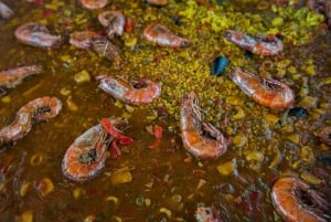 San Antonio: Es Vedrà, Formentera-tur med mad og drikke