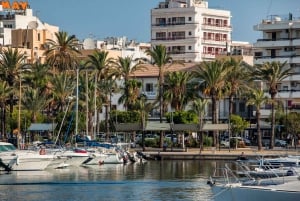 San Antonio: Es Vedrà, Formentera-tur med mad og drikke