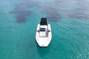 San Antonio: Private Boat Experience with Paddle Surfing and Snorkeling