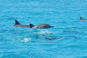 Santa Eulalia: Vattenskotertur med valfri delfinsökning