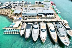 Santa Eulalia: Jetskidtur med valfri delfinsökning