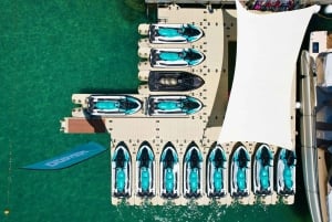 Santa Eulalia: Jetskidtur med valfri delfinsökning