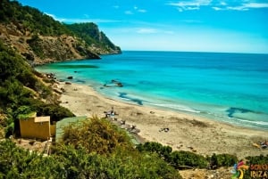 Santa Eulalia: Jetskidtur med valfri delfinsökning