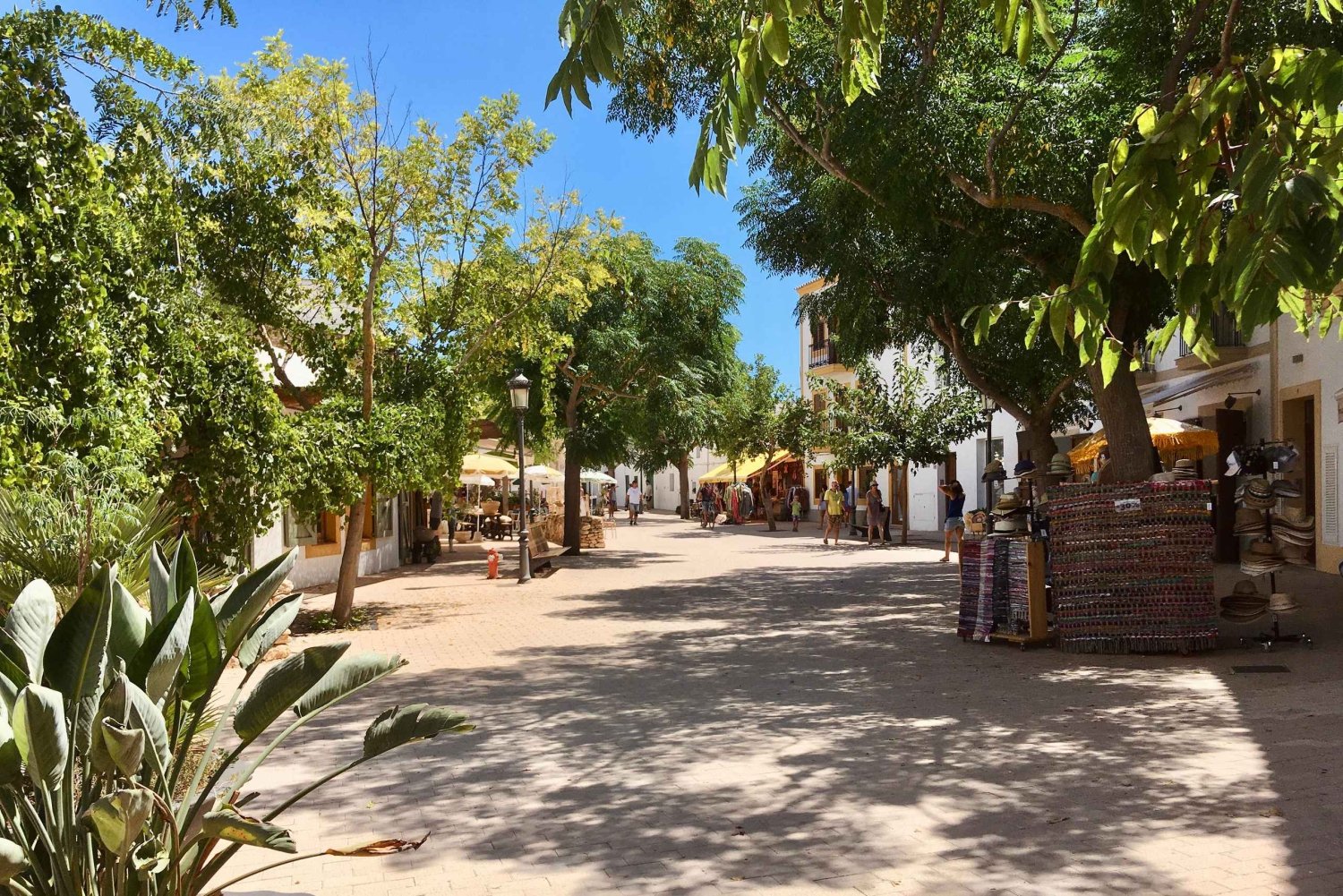 Landutflukt Ibiza – privat tur