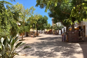 Wycieczka lądowa na Ibizę – prywatna wycieczka