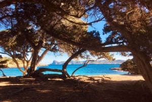 Wycieczka lądowa na Ibizę – prywatna wycieczka