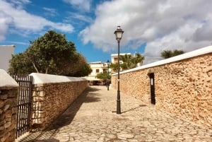 Wycieczka lądowa na Ibizę – prywatna wycieczka