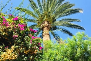 Wycieczka lądowa na Ibizę – prywatna wycieczka