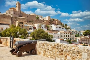Soleil, mer et histoires : Visite privée à pied d'Ibiza