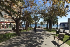 Soleil, mer et histoires : Visite privée à pied d'Ibiza