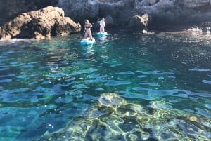 Sup, caves and snorkel tour