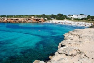 Ibiza: Formentera-risteily, jossa on juomia, lounas ja snorklaus