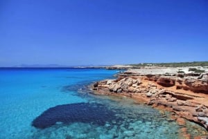 Ibiza: Crociera a Formentera con bevande, pranzo e snorkeling