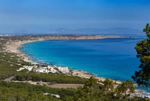 Ibiza: Cruzeiro em Formentera com bebidas, almoço e mergulho com snorkel