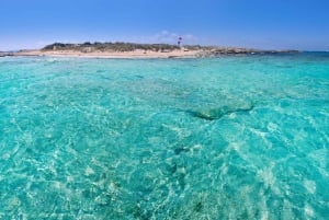 Ibiza: Formentera-kryssning med drinkar, lunch och snorkling