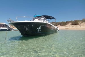 Tour: 'Ibiza-Formentera' from the sea in private boat