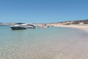 Tour: 'Ibiza-Formentera' from the sea in private boat