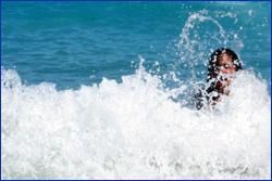 Things WE Recommend...