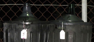 Wine Festival - San Mateo