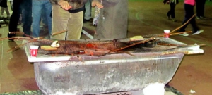 Wine Festival - San Mateo