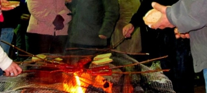 Wine Festival - San Mateo