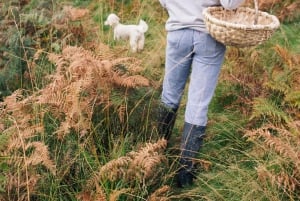 Beginner Foraging Walk: Wild food walking tour & tasters