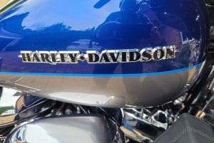 Alton: Harley Davidson Sozius-Tour durch die South Downs