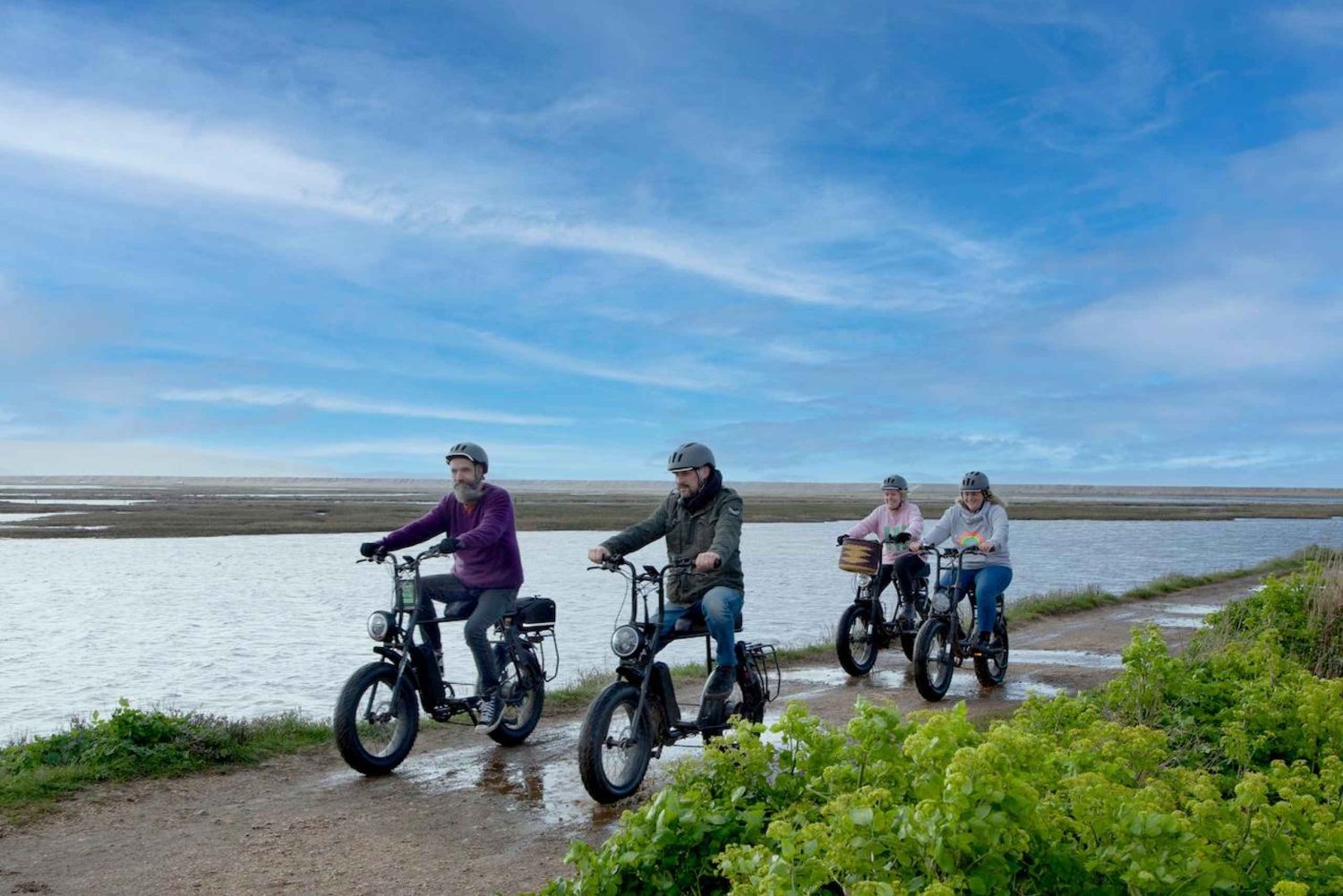 Parco nazionale della New Forest: noleggio e-bike per l'intera giornata