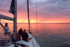 New Forest: Sail with Lunch or Dinner from Lymington