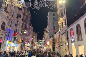 1 or 2- Day Istanbul Highlights Tour w/ a Professional Guide