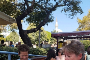 1 or 2- Day Istanbul Highlights Tour w/ a Professional Guide