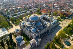 Basilica Cistern Guided Tour & Blue Mosque Audio Guide