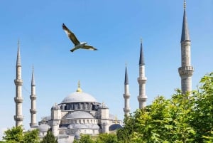 Basilica Cistern Guided Tour & Blue Mosque Audio Guide