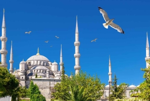 Basilica Cistern, Hagia Sophia, Blue Mosque Tickets & Audios