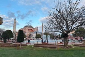 Basilica Cistern, Hagia Sophia, Blue Mosque & Topkapi Palace