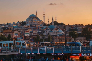 Basilica Cistern, Hagia Sophia, Blue Mosque & Topkapi Palace