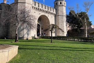 Best of Istanbul : 1 or 2 Day Private Guided City Tour