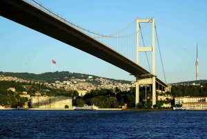 Best of Istanbul in 1 Day: Guided Tour with Bosphorus Cruise