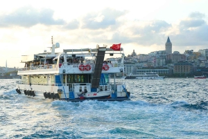 Best of Istanbul in 1 Day: Guided Tour with Bosphorus Cruise