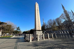 Best of Istanbul in 1 Day: Guided Tour with Bosphorus Cruise